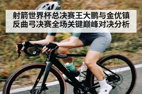 射箭世界杯总决赛王大鹏与金优镇反曲弓决赛全场关键巅峰对决分析 - kaiyun